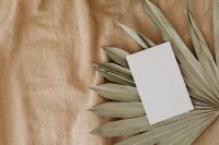 Kaboompics - Blank Business Card Mockup on Dried Palm Frond and Beige Linen