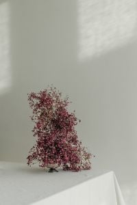 Kaboompics - Pink Dried Flower Arrangement on a White Table