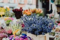 Kaboompics - Close View of Blue Sea Holly Bouquets at a Flower Market