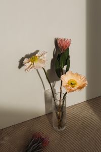 Kaboompics - Floral Still Life against a Light Textile Background