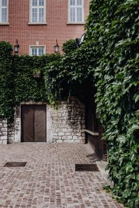 Kaboompics - Ivy-Covered Stone Entrance and Courtyard in Krakow