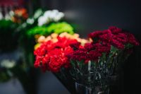 Kaboompics - Collection of colourful flower bouquets