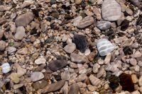 Kaboompics - Close-Up Pebble Beach Texture with Rounded Shore Stones