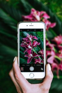 Kaboompics - Smartphone Photographing a Cymbidium Orchid Floral Arrangement