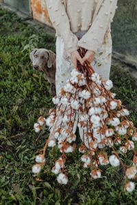 Kaboompics - A beautiful tall woman holds cotton branches