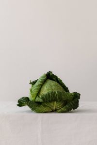 Kaboompics - Savoy Cabbage on Light Background with Generous Copy Space