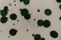 Kaboompics - Green Splatter Ceramic Plate Arrangement on a Neutral Linen Table