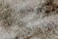 Kaboompics - Pale Gray Feather Down for a Soft Monochrome Background