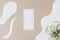 Kaboompics - Small Gold-Trimmed Blank Card and Air Plant on Beige Organic-Wave Backdrop