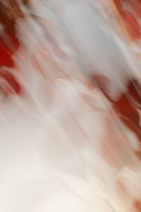 Kaboompics - Motion Blur Red Leaves White Background ICM