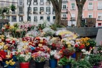 Kaboompics - Outdoor Flower Market Stalls with Colorful Cut Flowers and City Buildings