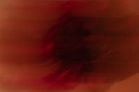 Kaboompics - Abstract Blurred Red Flower Close-Up