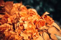 Kaboompics - Painted Fake Flowers