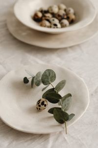 Kaboompics - Eucalyptus Leaves With Quail Egg On Ceramic Plate