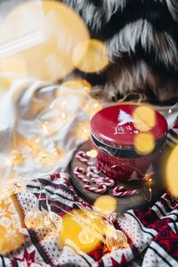 Festive Gingerbread Cookies and Candy Canes on Christmas Table Settings