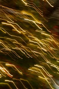 Kaboompics - Abstract Long Exposure String Lights on Evergreen Christmas Branches