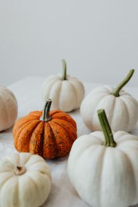 Kaboompics - Orange Pumpkin Surrounded by White Mini Pumpkins