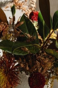Kaboompics - Close-Up of Green Leaves and Warm Dried Flower Arrangement