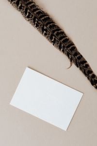 Kaboompics - Blank Card and Patterned Feather on Neutral Beige Background