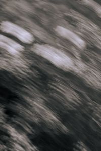 Kaboompics - Black and White Plant Texture in Motion Blur