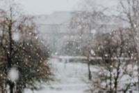Kaboompics - Snowing