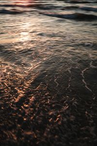 Kaboompics - Golden Reflections on Rippling Sea Water