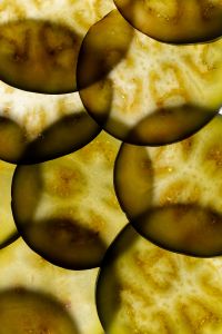 Kaboompics - Eggplant Slices in Backlight