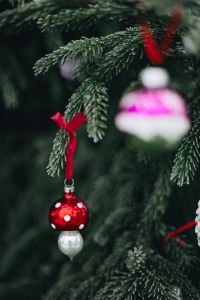 Kaboompics - Pink and White Christmas Bauble on a Frosted Branch