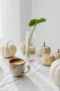 Kaboompics - Coffee Cup and White Mini Pumpkins in Bright Window Light