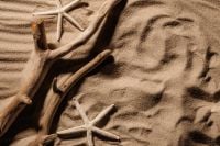 Kaboompics - Driftwood and Starfish on Textured Sand