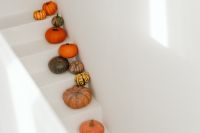 Kaboompics - Autumn Pumpkins on White Steps with Copy Space