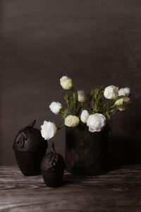 Kaboompics - White Flowers in Black Vase on Dark Background