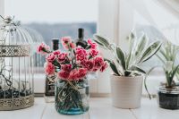 Kaboompics - Pink flowers and plants