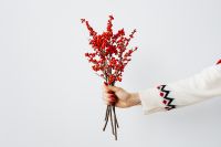 Kaboompics - Hand Holding a Fresh Ilex Berry Bouquet, Red Winter Berries Isolated on White