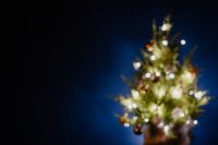 Kaboompics - Blurry Christmas Tree Branches with Warm Bokeh