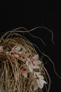 Kaboompics - Close-Up Dried Grass and White Floral Arrangement