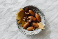 Kaboompics - Overhead Bowl of Acorns with a Yellow Oak Leaf