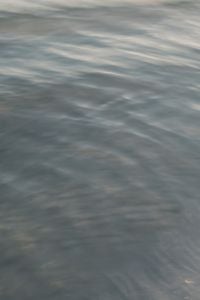 Kaboompics - Calm Sea Water Texture Background, Blue Grey Abstract