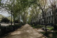 Kaboompics - Tree-Lined Madrid Boulevard with Walking Path, Benches and Historic Facades