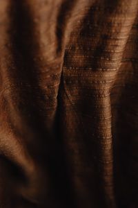 Kaboompics - Vertical Folds of a Dried Banana Leaf