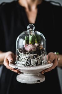 Kaboompics - Woman holding seedlings inside a glass container