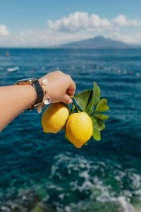 Sorrento Lemons, Italy
