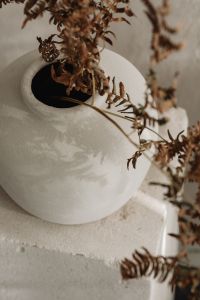 Kaboompics - Top View of Textured White Ceramic Vase with Dried Ferns