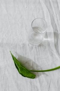 Kaboompics - Alocasia Leaf and Empty Glass on White Fabric