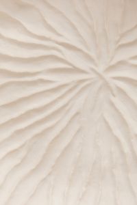 Kaboompics - Ivory White Folded Texture with Radiating Pleats and Gentle Shadows