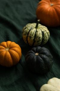 Kaboompics - Vertical Autumn Pumpkin Still Life on Dark Green Fabric