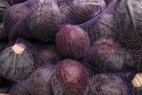 Kaboompics - Colorful Market Moments With Vegetables and Fruit