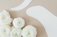 Kaboompics - White Ranunculus with Organic White Shapes on Beige Background
