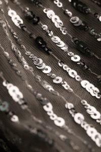 Kaboompics - Black and Silver Sequin Fabric Texture