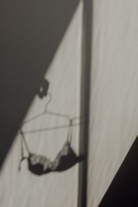 Kaboompics - Lace Bra Shadow on a White Curtain
